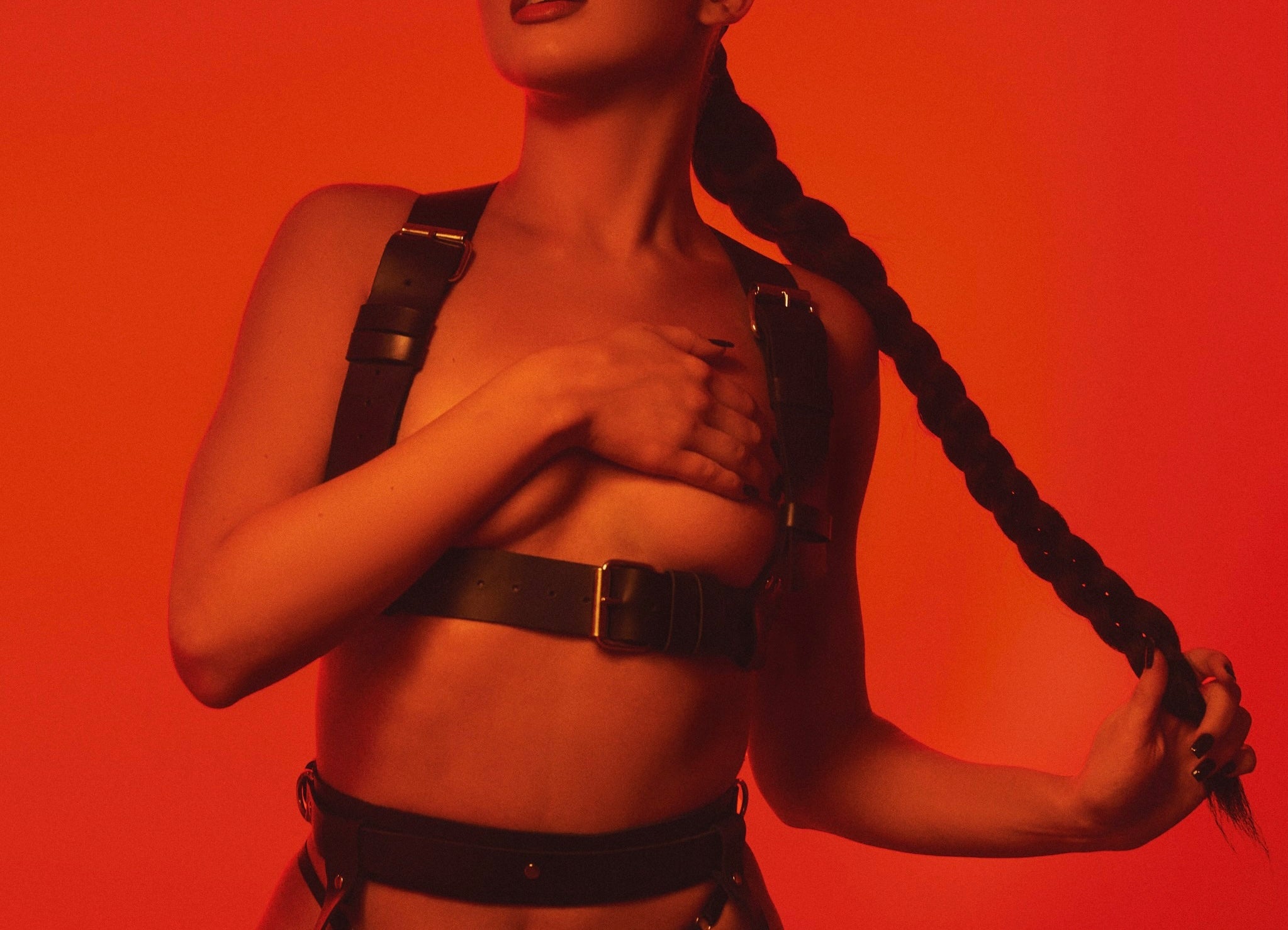 Harnesses