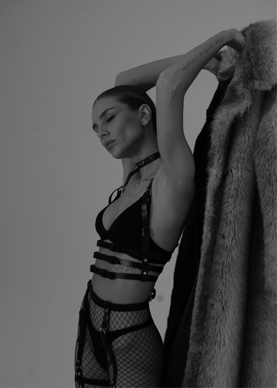 "Classique 3" Harness