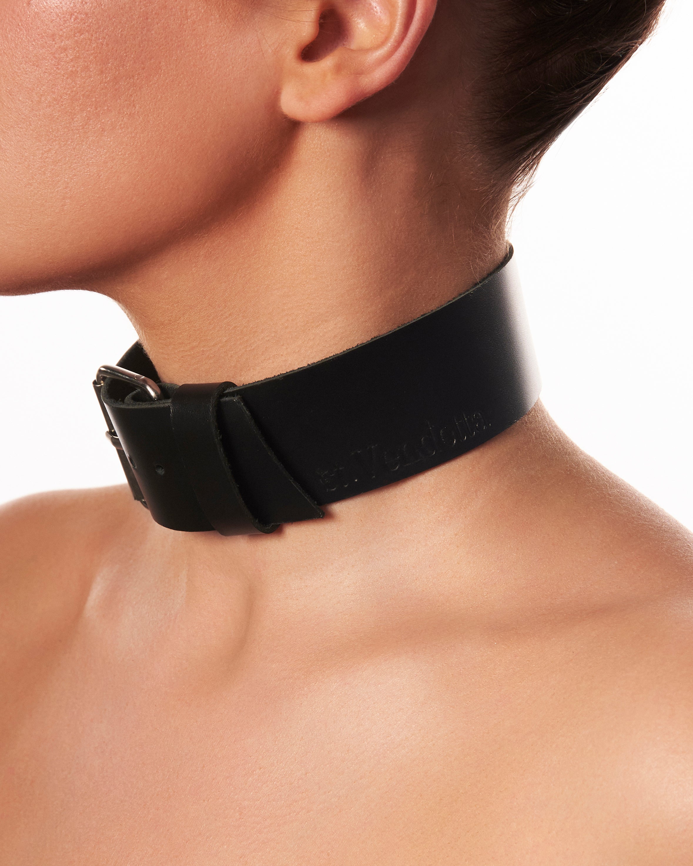 "Pretty Poison" Choker